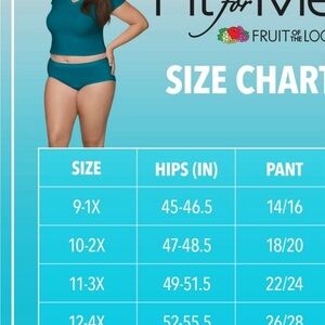 ❤️3 for $10❤️Fruit of the Loom Women's Panties - Blue